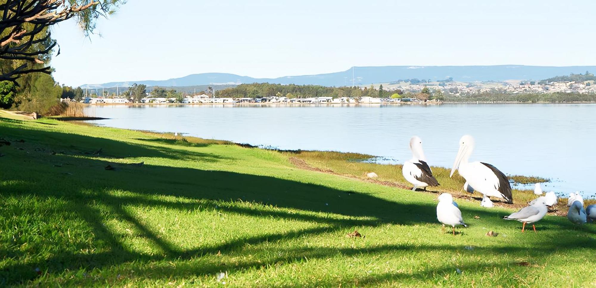 Golf Place Inn Wollongong Primbee Esterno foto